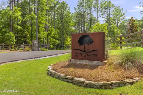 Springwood Trail, Flora, MS 39071 photo 2