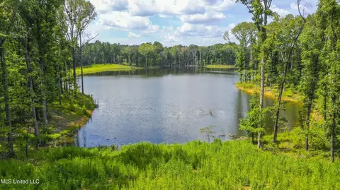 Springwood Trail, Flora, MS 39071 photo 22