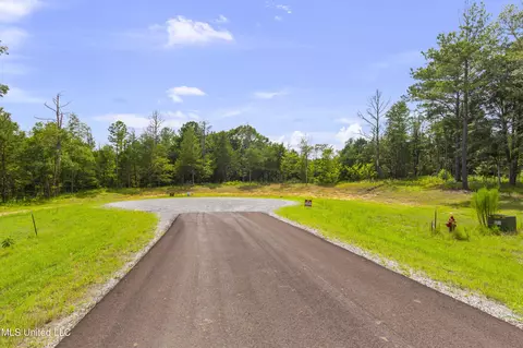 Springwood Trail, Flora, MS 39071 photo 13