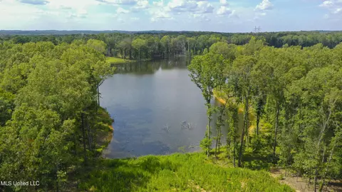 Springwood Trail, Flora, MS 39071 photo 21