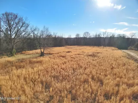 Broomfield Road Road, Yazoo City, MS 39194
