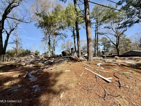 1146 Shalimar Dr, Jackson, MS 39204 photo 3