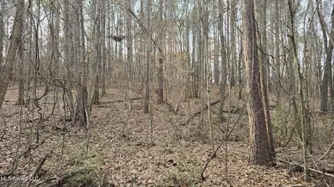 1295 Hillside Rd, Holcomb, MS 38940 photo 17