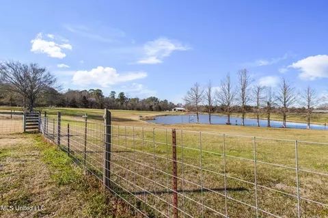 View/Area - 914 Ratliff Ferry Rd, Canton, MS 39046 photo 4 of 18