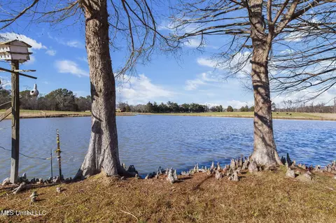 View/Area - 914 Ratliff Ferry Rd, Canton, MS 39046 photo 6 of 18