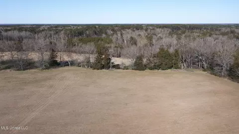 View/Area - 914 Ratliff Ferry Rd, Canton, MS 39046 photo 11 of 18