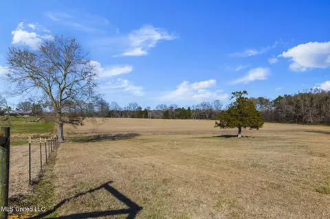 Other - 914 Ratliff Ferry Rd, Canton, MS 39046 photo 25 of 35