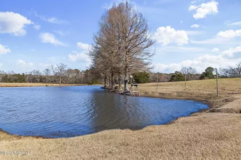 View/Area - 914 Ratliff Ferry Rd, Canton, MS 39046 photo 2 of 18