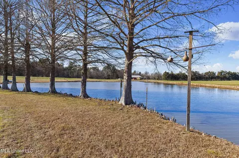 View/Area - 914 Ratliff Ferry Rd, Canton, MS 39046 photo 5 of 18