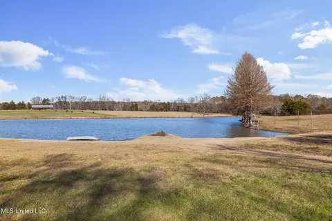 View/Area - 914 Ratliff Ferry Rd, Canton, MS 39046 photo 3 of 18
