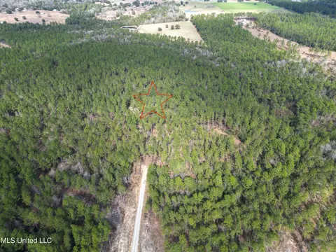 Firetower Road, Kiln, MS 39556
