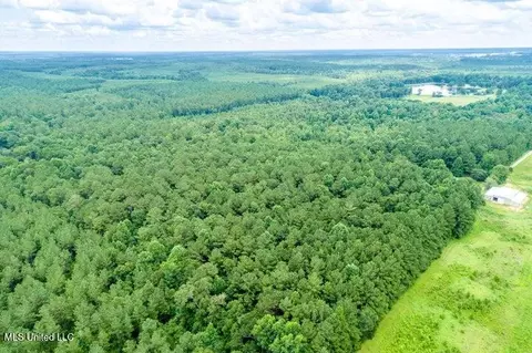 25 5 Acres Canty Rayborn Rd, Sumrall, MS 39482 photo 18