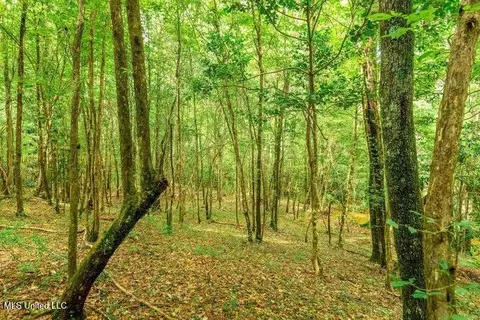 25 5 Acres Canty Rayborn Rd, Sumrall, MS 39482 photo 11