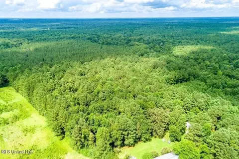 25 5 Acres Canty Rayborn Rd, Sumrall, MS 39482 photo 24