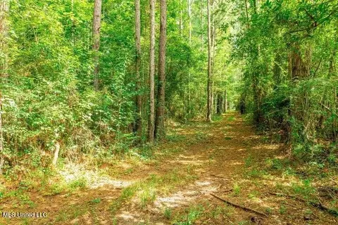 25 5 Acres Canty Rayborn Rd, Sumrall, MS 39482 photo 15