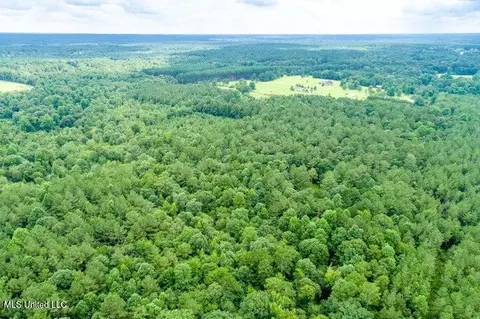 25 5 Acres Canty Rayborn Rd, Sumrall, MS 39482 photo 20