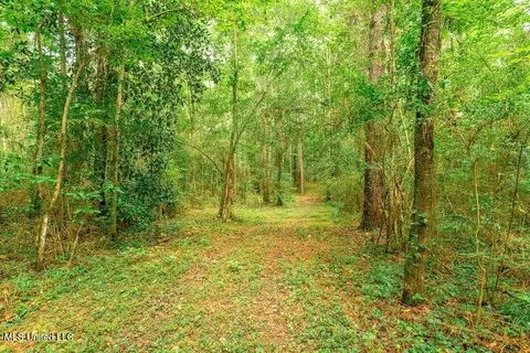 25 5 Acres Canty Rayborn Rd, Sumrall, MS 39482 photo 5
