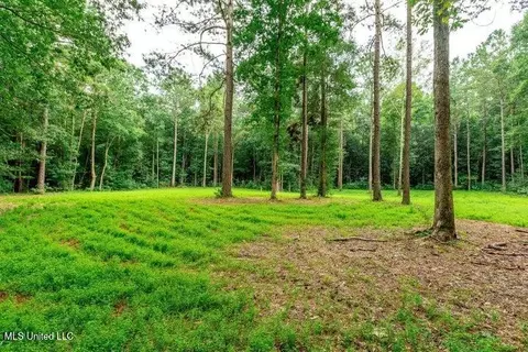 25 5 Acres Canty Rayborn Rd, Sumrall, MS 39482 photo 12