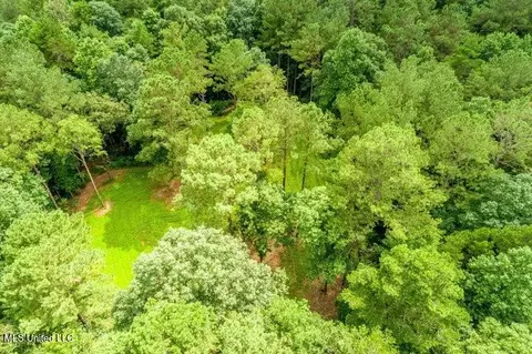 25 5 Acres Canty Rayborn Rd, Sumrall, MS 39482 photo 21