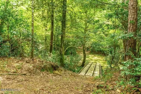 25 5 Acres Canty Rayborn Rd, Sumrall, MS 39482 photo 10