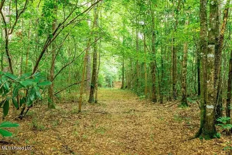 25 5 Acres Canty Rayborn Rd, Sumrall, MS 39482 photo 8