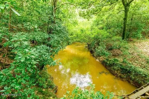 25 5 Acres Canty Rayborn Rd, Sumrall, MS 39482 photo 4