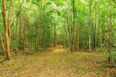25 5 Acres Canty Rayborn Rd, Sumrall, MS 39482 photo 6