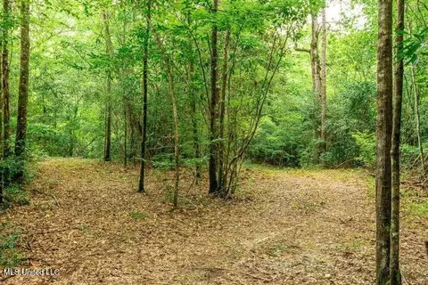 25 5 Acres Canty Rayborn Rd, Sumrall, MS 39482 photo 7