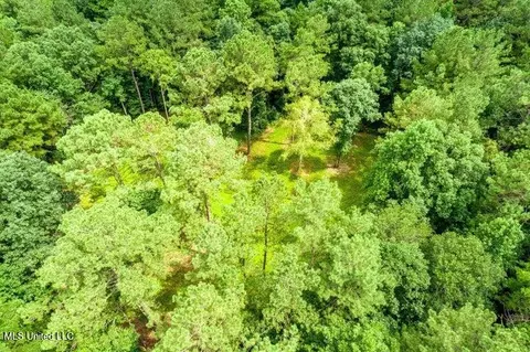 25 5 Acres Canty Rayborn Rd, Sumrall, MS 39482 photo 19