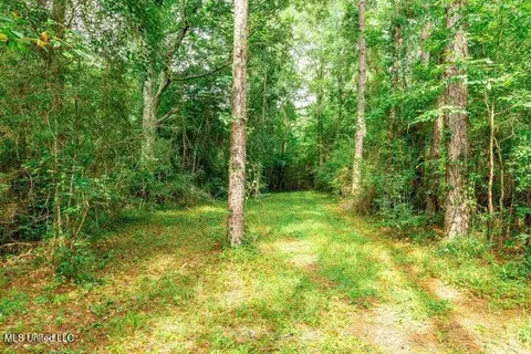 25 5 Acres Canty Rayborn Rd, Sumrall, MS 39482 photo 14