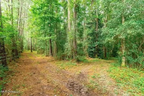 25 5 Acres Canty Rayborn Rd, Sumrall, MS 39482 photo 17