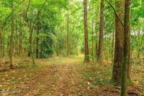 25 5 Acres Canty Rayborn Rd, Sumrall, MS 39482 photo 3