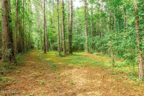 25 5 Acres Canty Rayborn Rd, Sumrall, MS 39482 photo 16