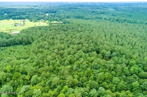 25 5 Acres Canty Rayborn Rd, Sumrall, MS 39482 photo 22
