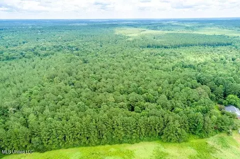 25 5 Acres Canty Rayborn Rd, Sumrall, MS 39482 photo 23
