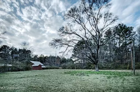 2994 Star Rd, Florence, MS 39073 photo 6