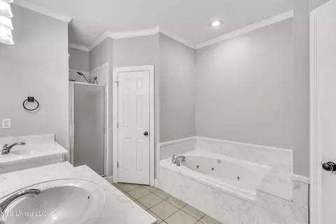 Bath - 156 Appleridge Dr, Brandon, MS 39047 photo 1 of 2