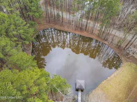 View/Area - 174 Hunt Cir, Madison, MS 39110 photo 4 of 6