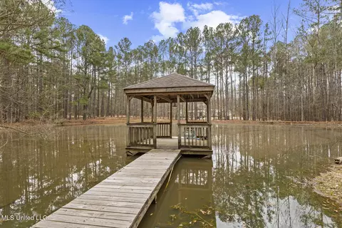 Other - 174 Hunt Cir, Madison, MS 39110 photo 18 of 21
