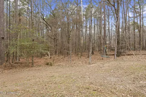 Exterior - 174 Hunt Cir, Madison, MS 39110 photo 13 of 21