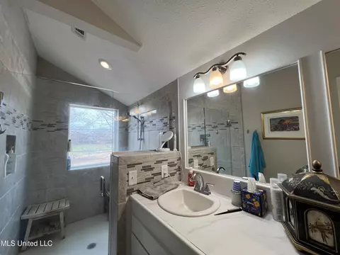 Bath - 179 Planters Grv, Brandon, MS 39047 photo 4 of 5