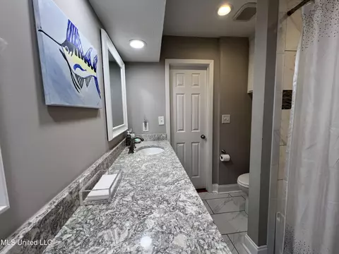 Bath - 179 Planters Grv, Brandon, MS 39047 photo 2 of 5