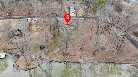 Other - 8741 Bobwhite Dr, Hernando, MS 38632 photo 11 of 12