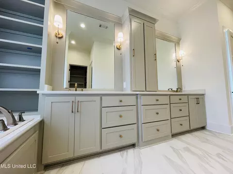Bath - 419 Whittington Cir, Madison, MS 39110 photo 3 of 12