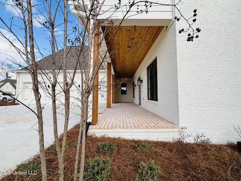 Exterior - 419 Whittington Cir, Madison, MS 39110 photo 5 of 13