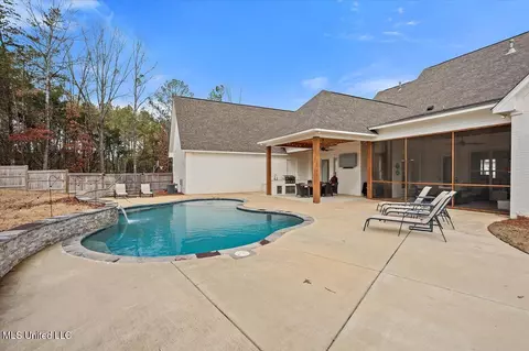 Exterior - 119 Silverleaf Dr, Madison, MS 39110 photo 8 of 12