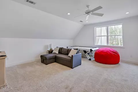 Other - 119 Silverleaf Dr, Madison, MS 39110 photo 10 of 23