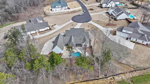 View/Area - 119 Silverleaf Dr, Madison, MS 39110 photo 6 of 6