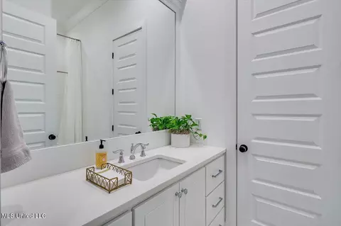 Bath - 119 Silverleaf Dr, Madison, MS 39110 photo 4 of 7