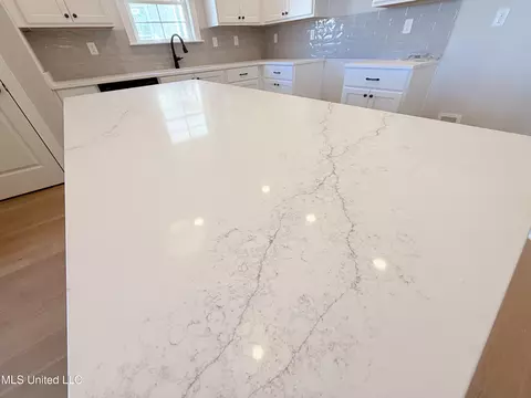 Kitchen - 758 Coahoma Ct, Nesbit, MS 38651 photo 3 of 4